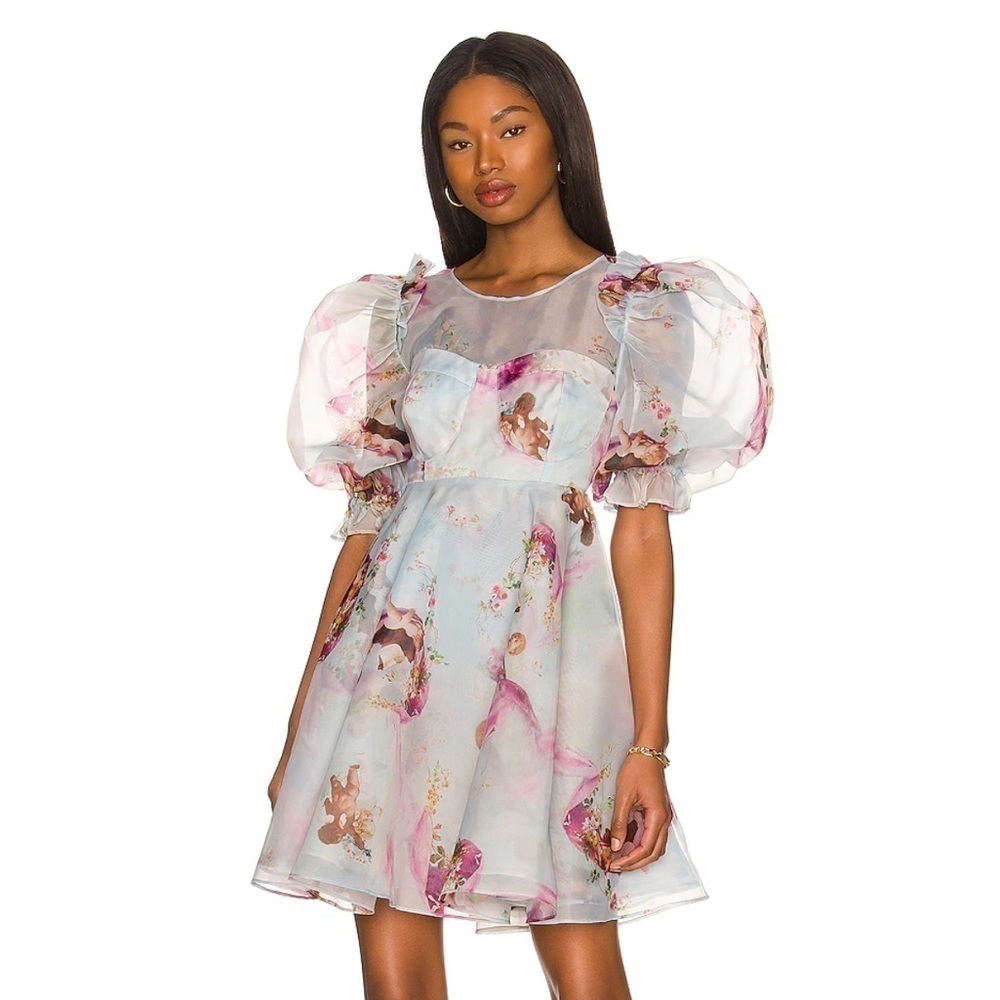 The Party Dress in Cupid Selkie X Revolve